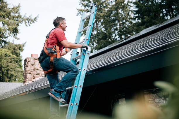 Best Roof Moss and Algae Removal  in West Fairview, PA